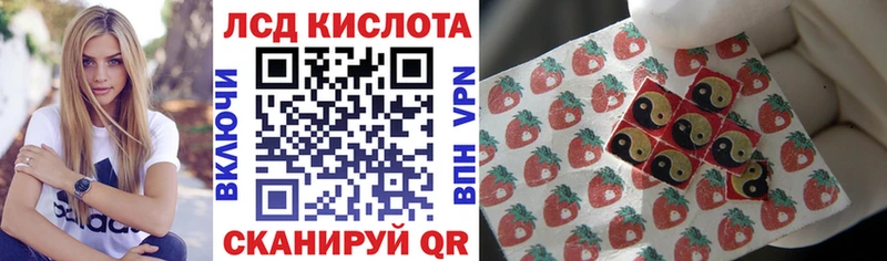 наркошоп  ссылка на мегу вход  Наркотические марки 1,8мг  Пошехонье 